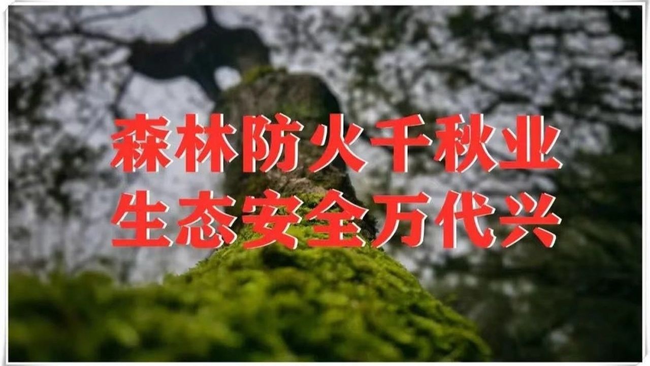 森林防火公益广告