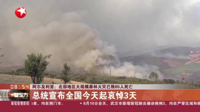 阿尔及利亚:北部地区大规模森林火灾已致65人死亡——总统宣布全国今天起哀悼3天