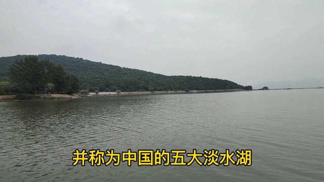 柘皋河湿地公园位于巢湖北岸、北龟山西侧,山水交错景色秀美,临近有“温家套惨案纪念碑”警示勿忘国耻.