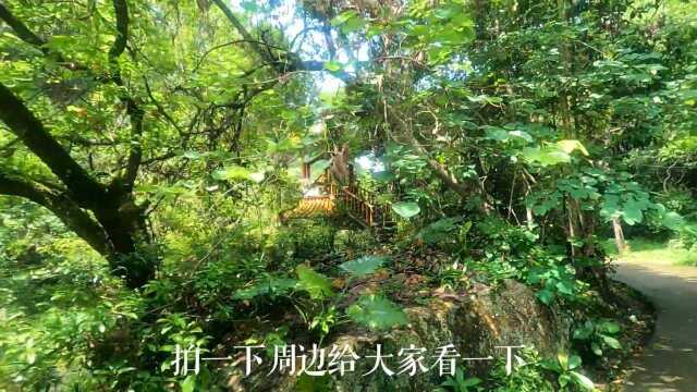 游桂山(五),这里是广东河源市!