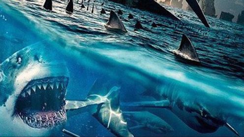 地球被海洋淹没，鲨鱼头领进化恐怖高智商，带领千只鲨鱼追杀人类#电影HOT短视频大赛 第二阶段#