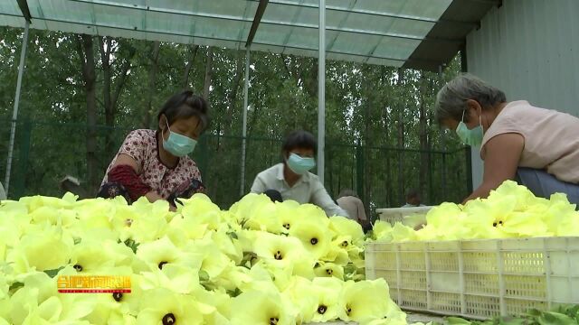 党建引领 激活乡村振兴“一池春水”