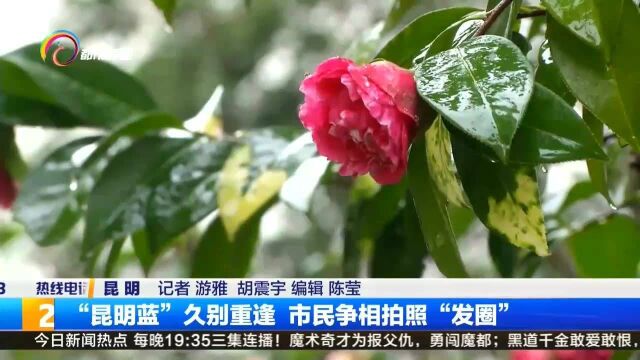 “昆明蓝”久别重逢,市民争相拍照“发圈”