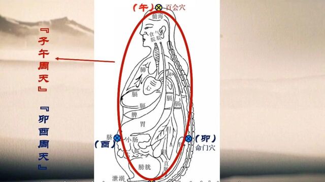 祖窍玄关指的是哪里?