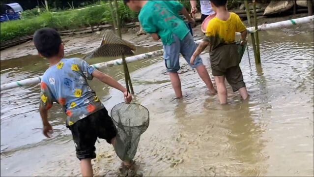 早上8点,江西赣州农村鱼塘里拍到的真人趣事,大家快去看看吧