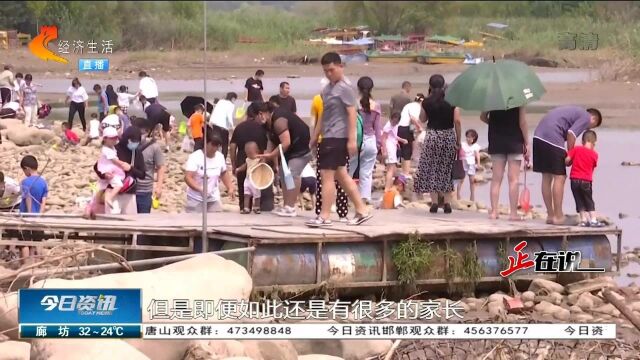 石家庄:河岸湿地水位低,有人游泳有人捞鱼,将危险抛之脑后