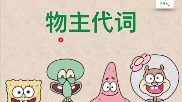 常用的物主代词