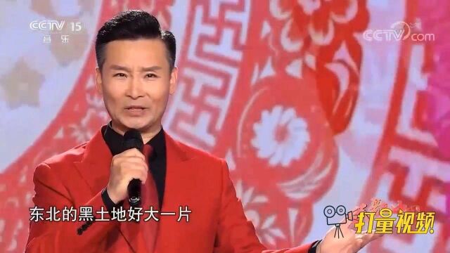 一首欢快的《东北二人转》,刘和刚精彩演唱,好听极了