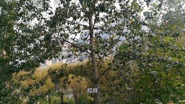 周六去北京房山十渡游玩,景色不错,很美