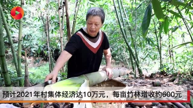 小康圆梦丨四川隆昌精准监督助推村集体经济焕发新活力