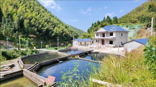 江西吉安永丰,深山里的鲟鱼养殖基地,这里还是养生度假的好去处