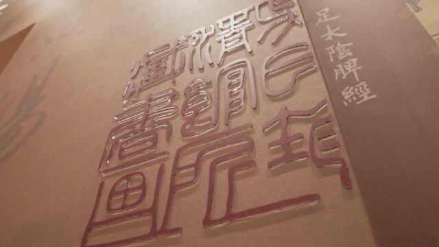 三百余件典藏亮相成都中国传统医药文物特展