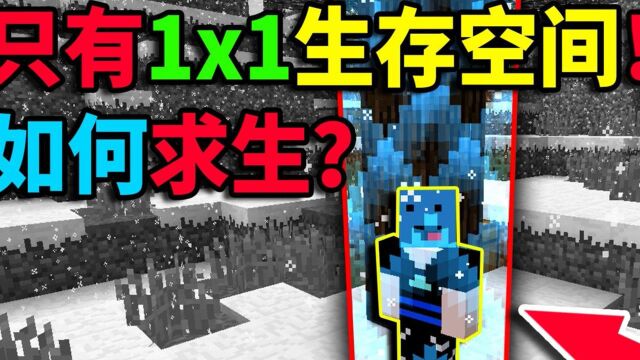 开局只有1x1的生存空间!你该如何求生?