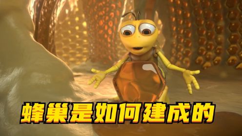 一只贪吃的蜜蜂，是如何建造蜂巢的？益智动画《蜂巢》#电影HOT短视频大赛 第二阶段#