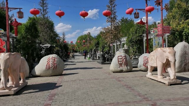 甘肃酒泉肃州植物园