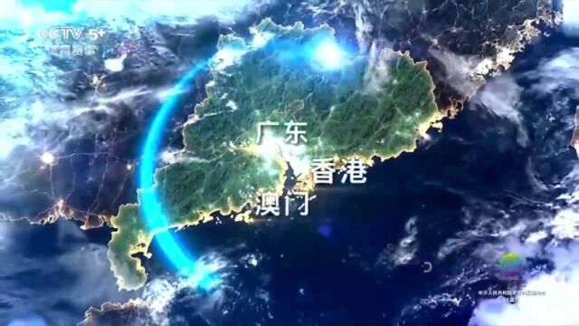 再见陕西,2025相约粤港澳大湾区!