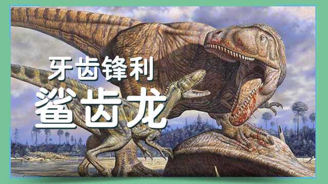 第10集 牙齿锋利:鲨齿龙