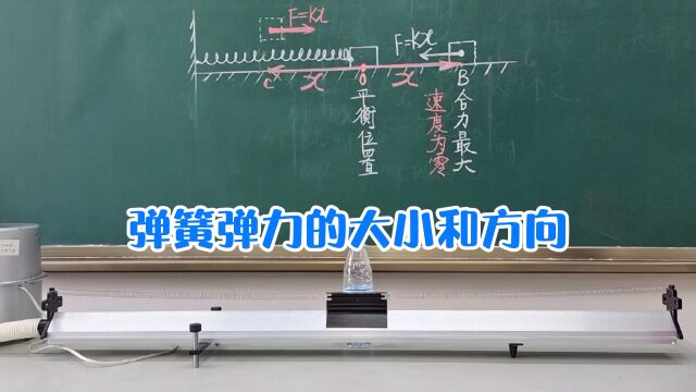 高一物理实验:弹力,弹簧的弹力,弹簧振子的运动