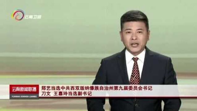 郑艺当选中共西双版纳傣族自治州第九届委员会书记 刀文 王嘉玲当选副书记