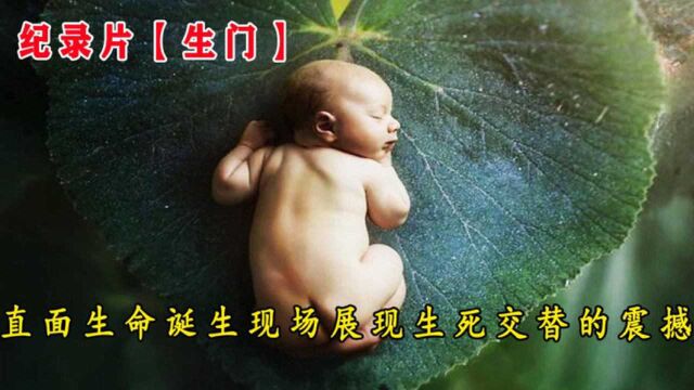 【纪录片】生门第一集!直面生命诞生的现场,展现生死交替的震撼!