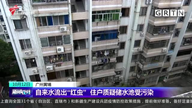 广州黄埔 自来水流出“红虫” 住户质疑储水池受污染