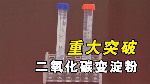 中国科学家突破二氧化碳合成淀粉,这是什么原理?有什么意义?