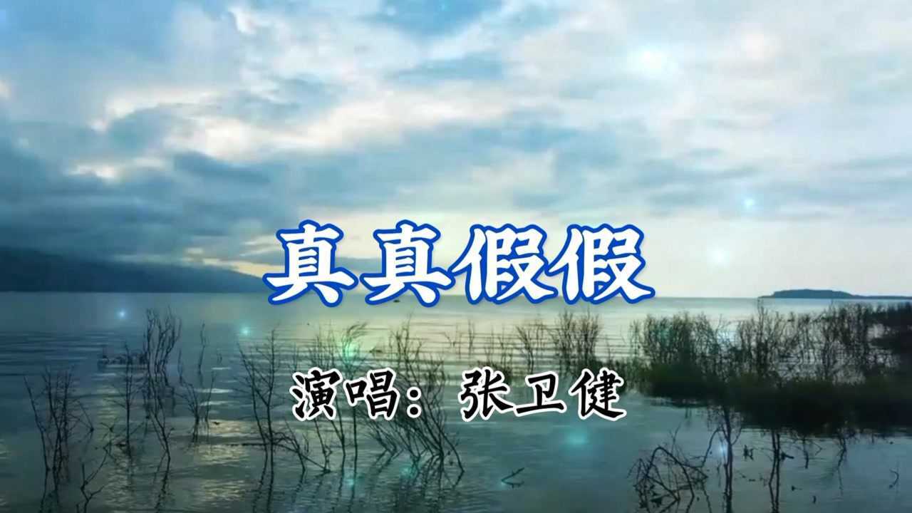 珍藏歌曲【真真假假】张卫健,真的好听!