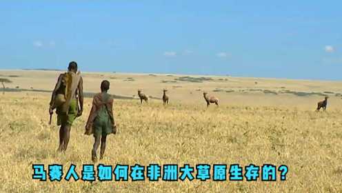 马赛人究竟有多厉害？徒步穿越非洲大草原，连狮子都得避让三分