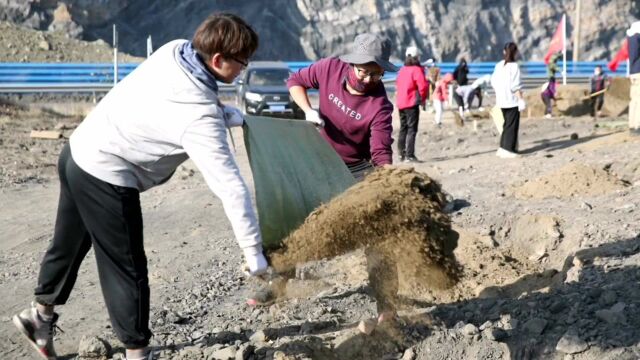 石嘴山市大武口区:秋冬植树忙 绿化贺兰山