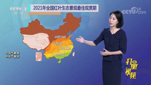 2021年全国红叶最佳观赏期出炉,错过这次又等一年