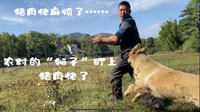 广东梅州网红猪肉佬,有空就回老家看看,今天有点“意外”啊