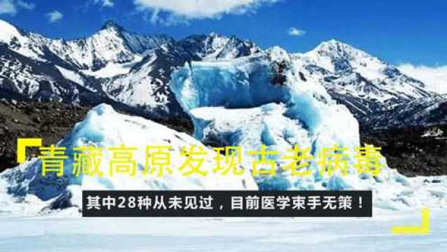 青藏高原发现古老病毒,其中28种从未见过,目前医学束手无策!