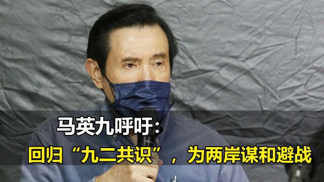 马英九呼吁:回归“九二共识”,为两岸谋和避战