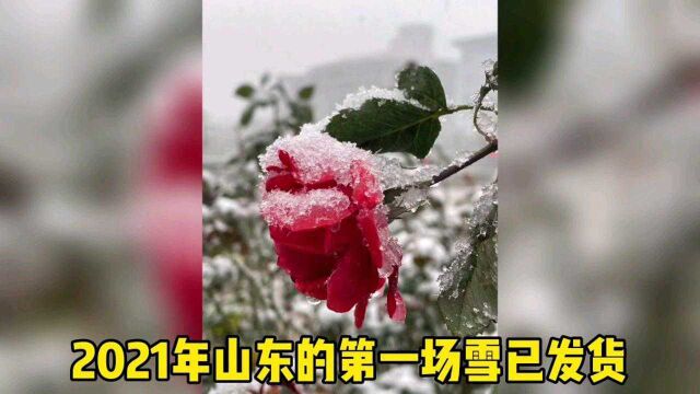 刚刚,山东多地迎来今冬首场降雪,你那里下了吗?威海却是个另类