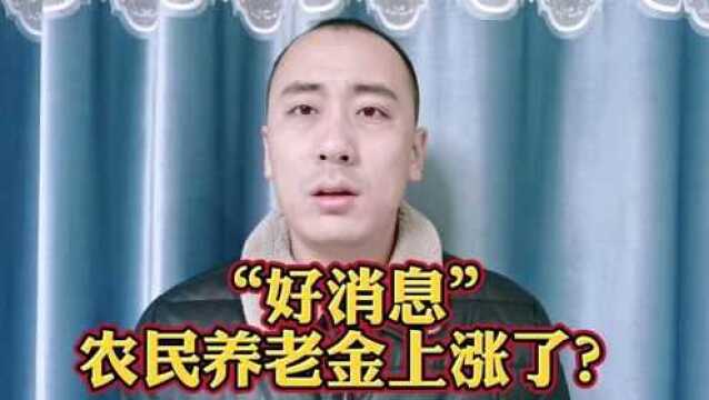 好消息,好消息,农民养老金上涨了