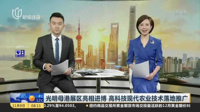 光明母港展区亮相进博 高科技现代农业技术落地推广