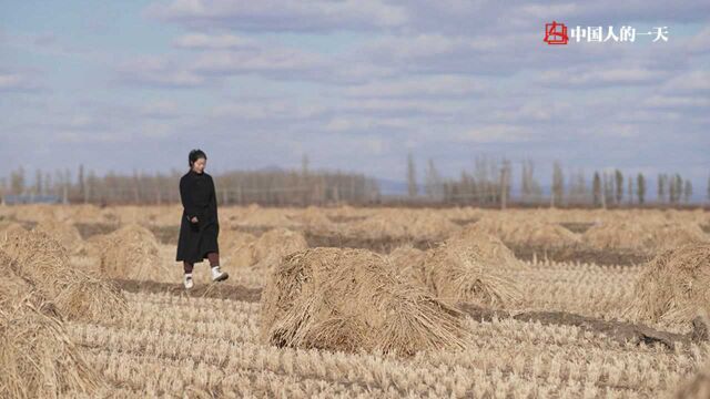 东北女孩回乡卖大米,曾跑遍粮油市场,破局还需互联网