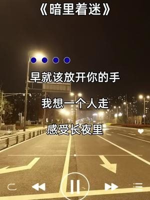 早就该放开你的手我想一个人走暗里着迷国粤语版南北组合