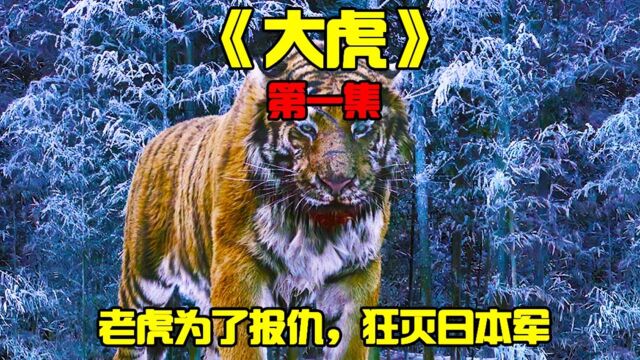 《大虎1》猛虎山君为了报仇,撕碎了百人军队