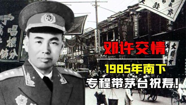 1985年邓公南巡途经南京,专程带了瓶茅台酒,去给许世友祝寿!