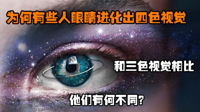 为何有些人眼睛进化出四色视觉,和三色视觉相比,他们有何不同?