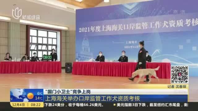 “国门小卫士”竞争上岗:上海海关举办口岸监管工作犬资质考核