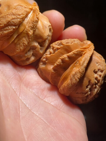 文玩核桃异形雕刻