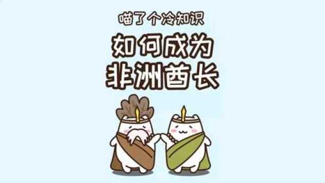 想去非洲当酋长需要什么条件?