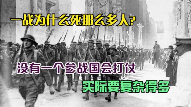 一战为什么死那么多人?没有一个参战国会打仗吗?实际要复杂得多