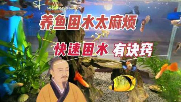 养鱼困水太麻烦,快速困水有诀窍:养鱼笔记第3季38集