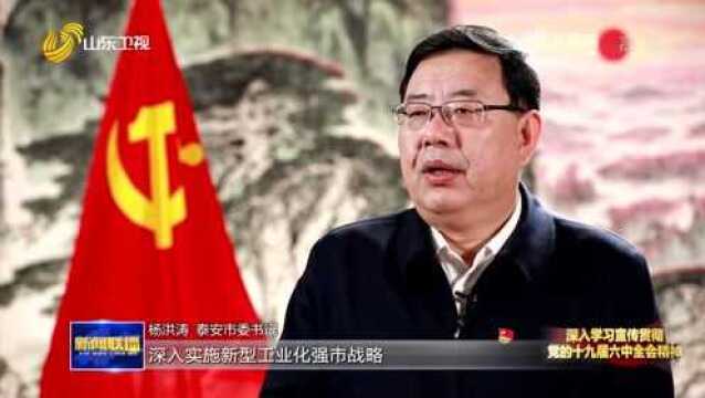 【深入学习宣传贯彻党的十九届六中全会精神】泰安:生态立市 产业兴市 勇做新时代泰山“挑山工”