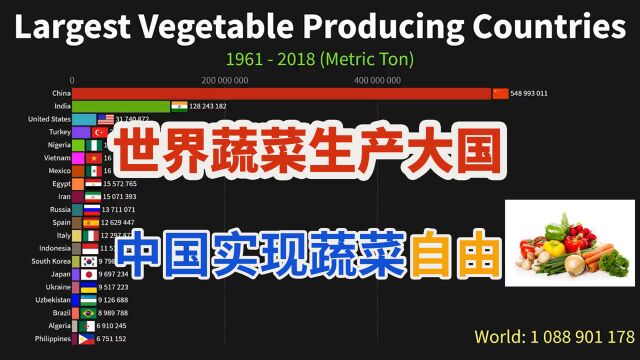 世界蔬菜生产大国:中国常年位居第一实现“蔬菜自由”!