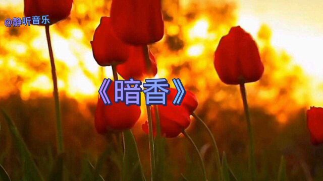 沙宝亮代表歌曲《暗香》!当花瓣离开花朵!暗香浮动月黄昏!