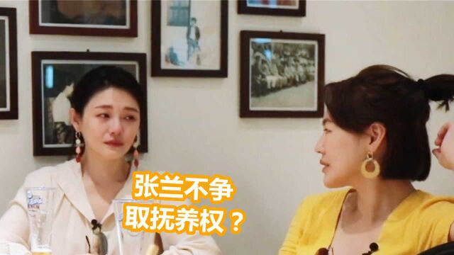 大S被问:张兰不会争取抚养权吗?随后大S的反应,暴露真实素质